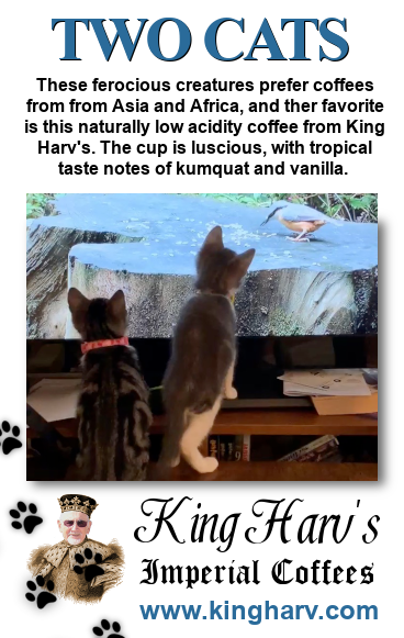 Two Cats 1 lb - FREE SHIPPING