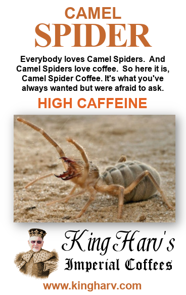 Camel Spider 1 lb - FREE SHIPPING