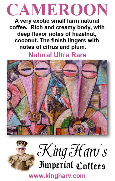 World Variety 6 Pack - FREE SHIPPING