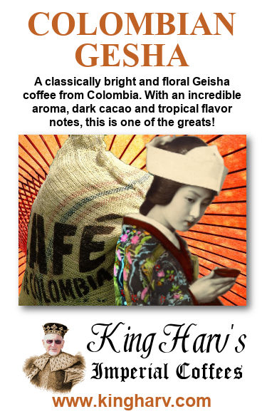 Geisha Variety 4 Pack - FREE SHIPPING
