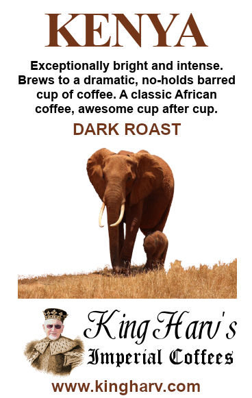 World Variety 6 Pack - FREE SHIPPING