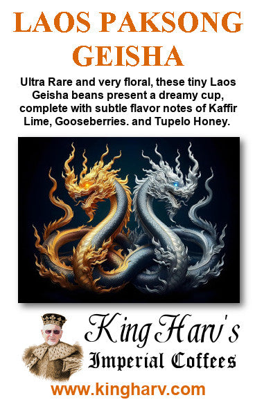 Geisha Variety 4 Pack - FREE SHIPPING