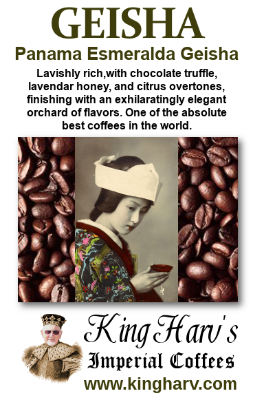 Geisha Variety 4 Pack - FREE SHIPPING