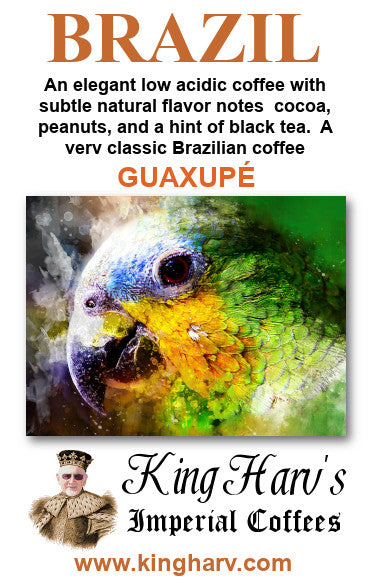 Americas Elite Variety 6 Pack - FREE SHIPPING