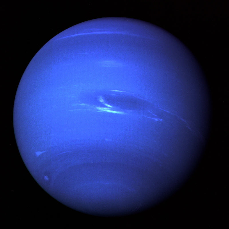 Neptune1 lb - FREE SHIPPING
