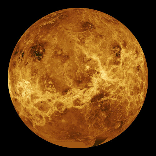 Venus 1 lb - FREE SHIPPING